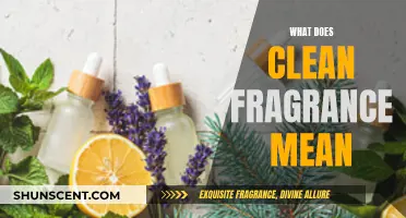 Understanding Clean Fragrance: A Guide to Fresh, Natural Scents