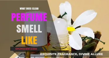 The Clean Perfume Scent: Fresh, Light, and Airy