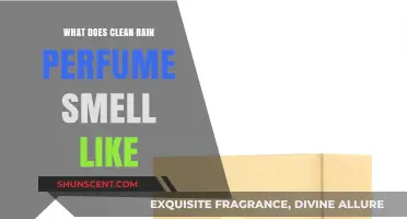 The Clean Rain Perfume: A Fresh, Clean Scent