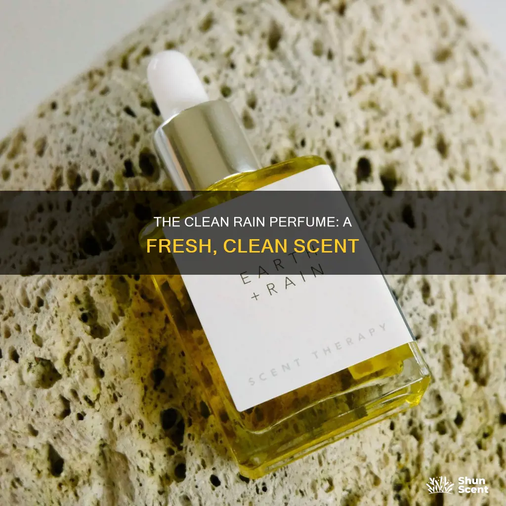 what does clean rain perfume smell like