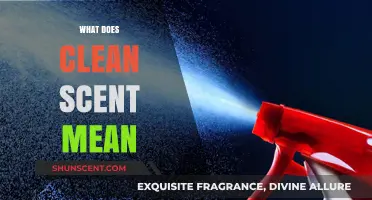Understanding Clean Scents: What It Means and Why It Matters