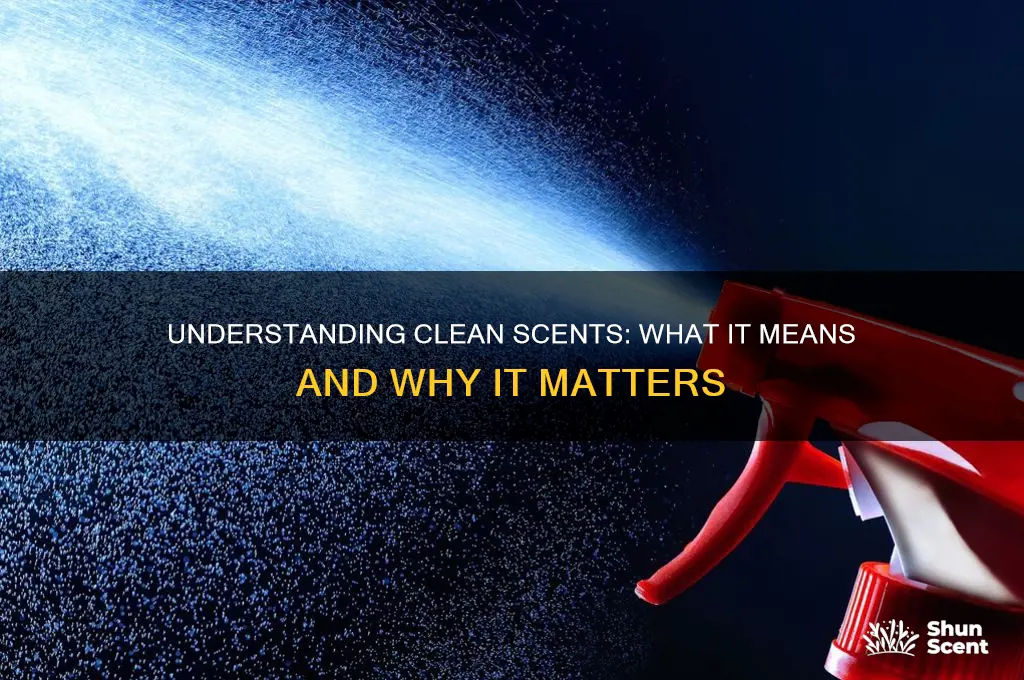 what does clean scent mean