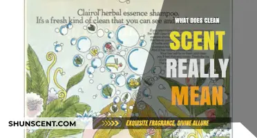Decoding Clean Scents: Understanding the Essence of Freshness
