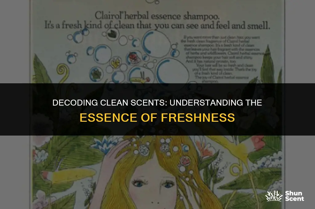 what does clean scent really mean