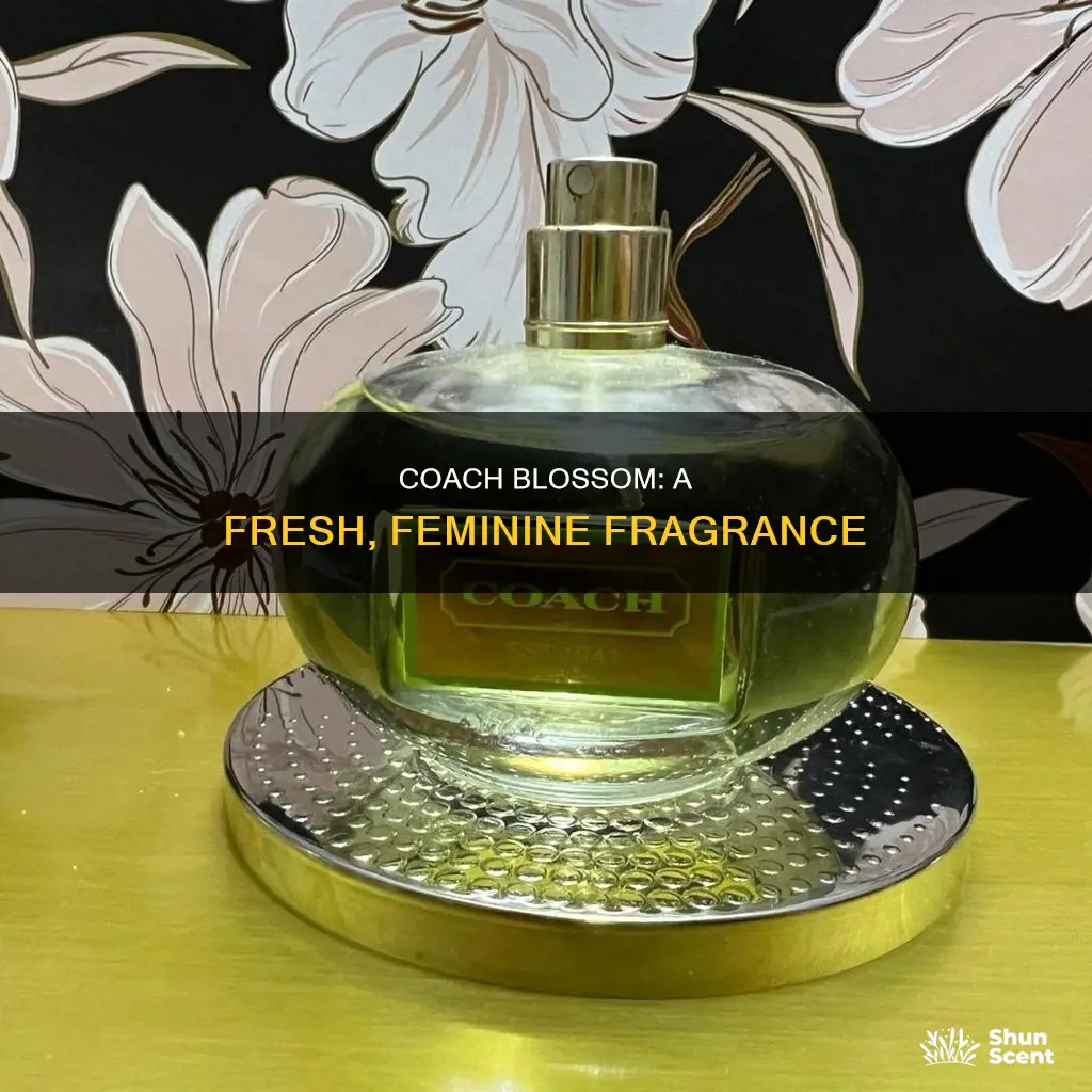 what does coach blossom perfume smell like