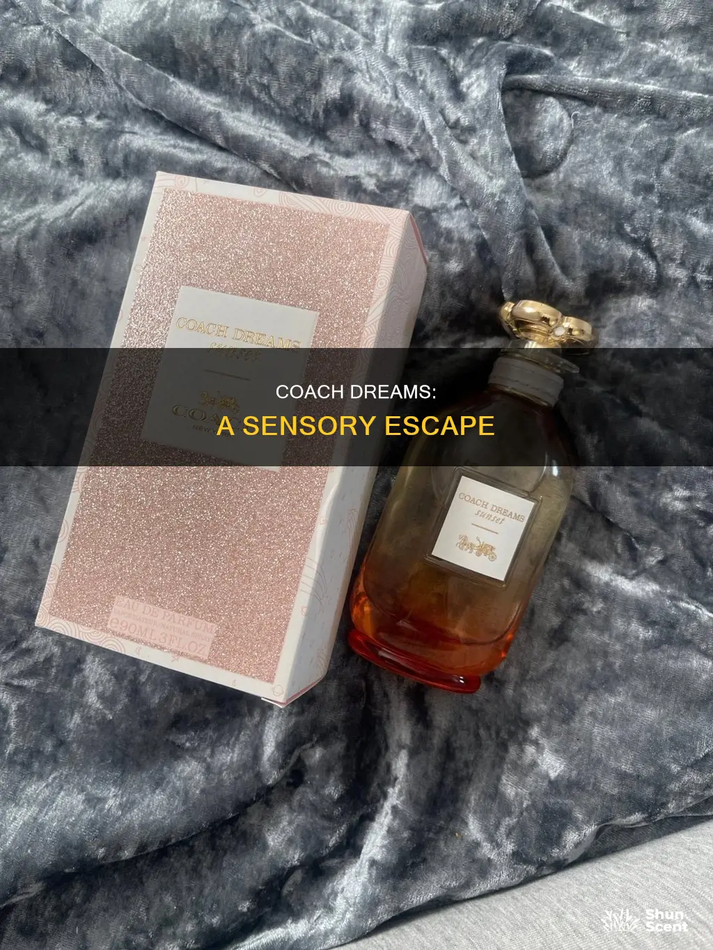 what does coach dreams perfume smell like