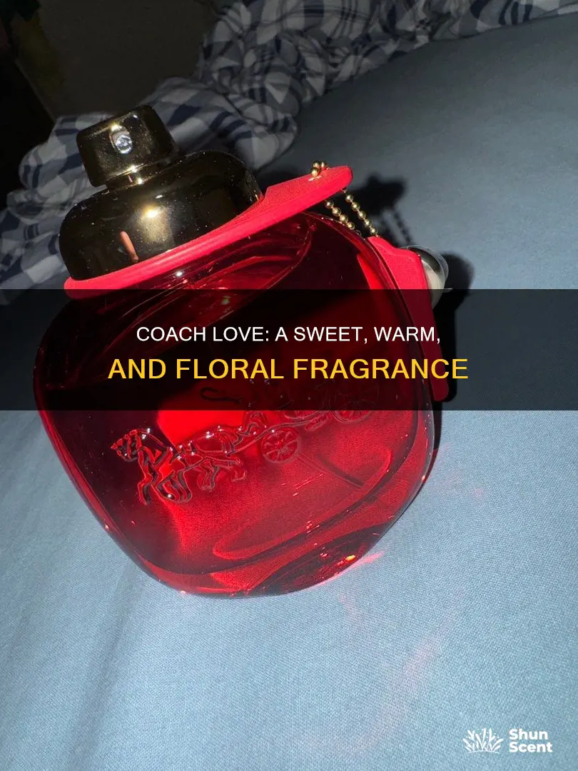 what does coach love perfume smell like