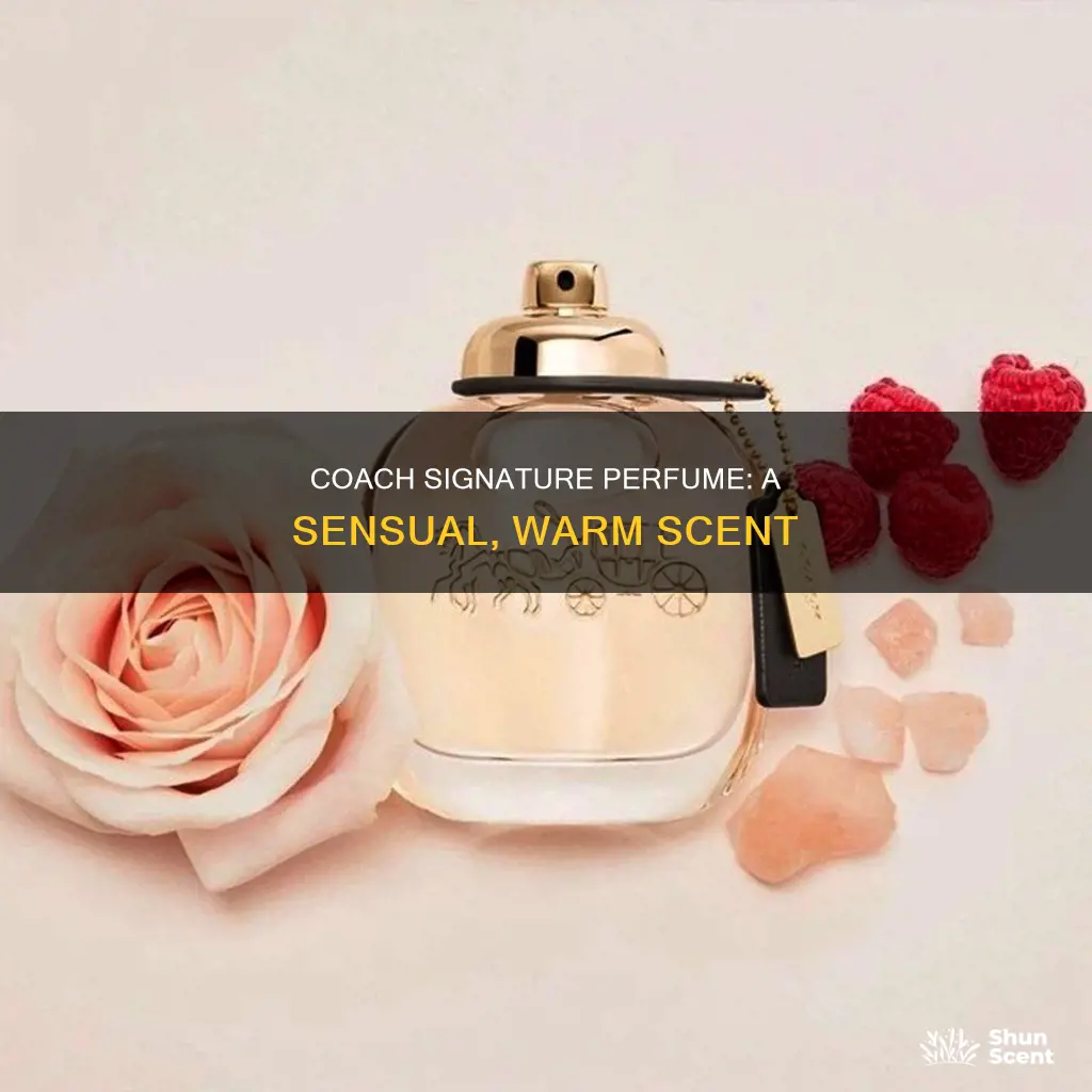 what does coach signature perfume smell like