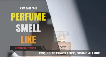 The Sensual, Sweet Aroma of Coco Perfume