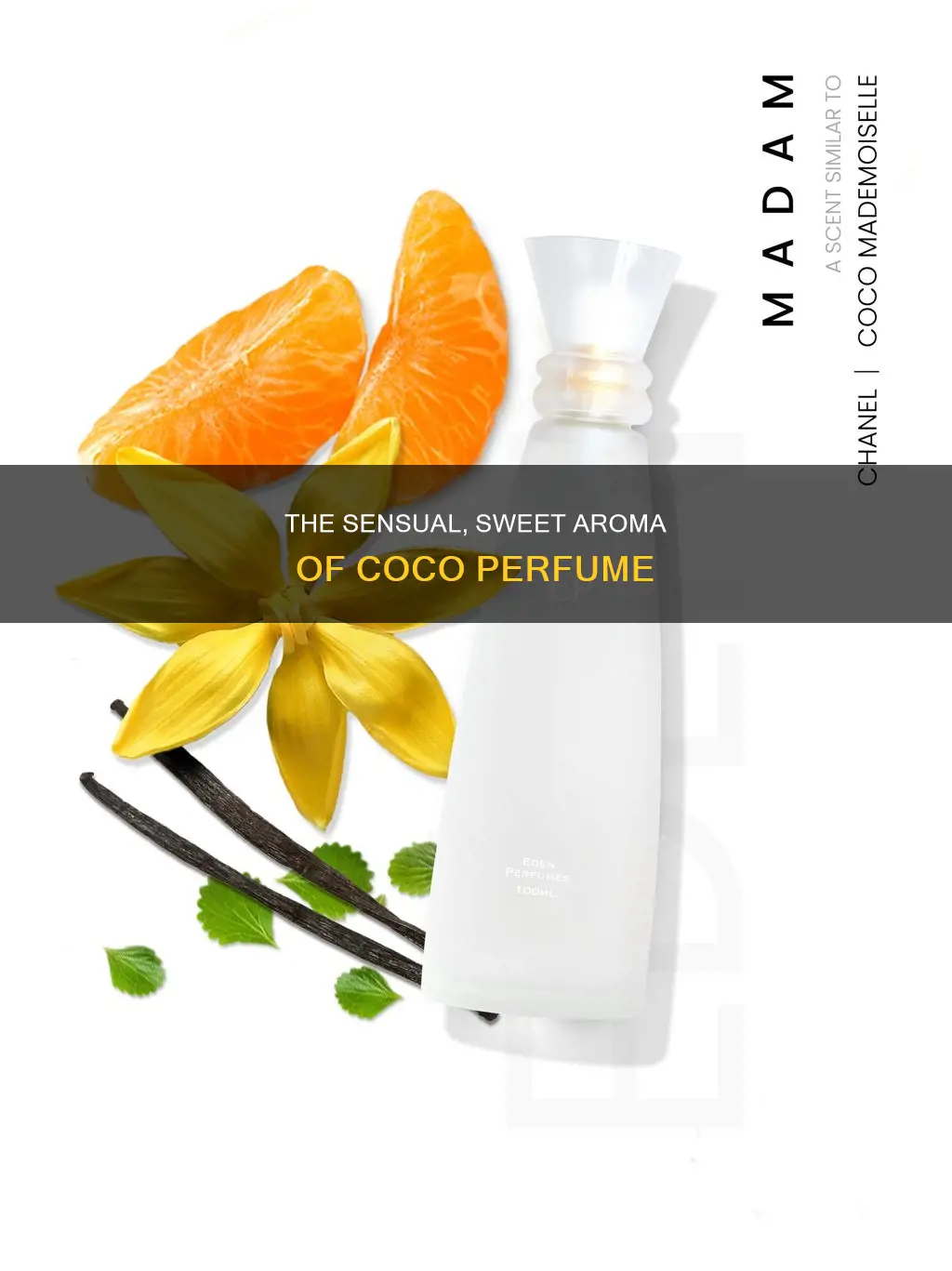 what does coco perfume smell like