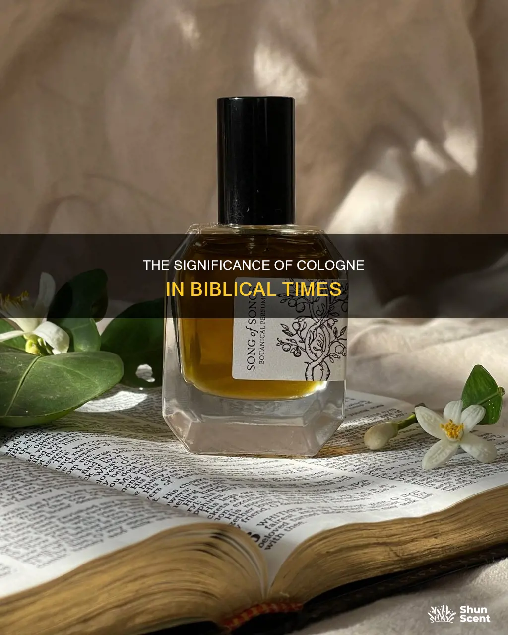 what does cologne mean in the bible