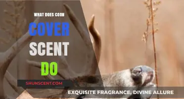 Unveiling the Mysteries: How Coon Cover Scent Works in the Wild