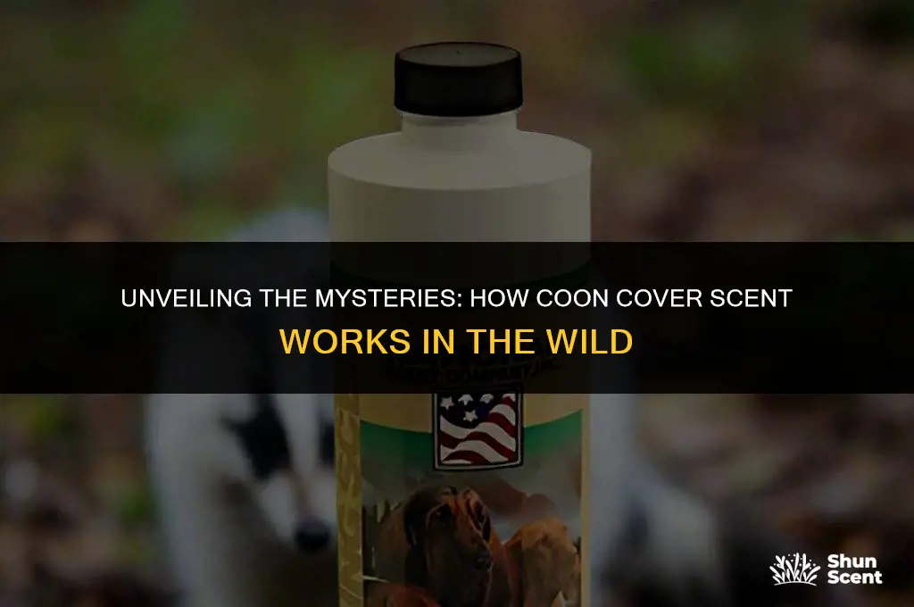 what does coon cover scent do