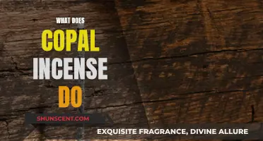 The Power of Copal Incense: Ancient Rituals, Modern Benefits