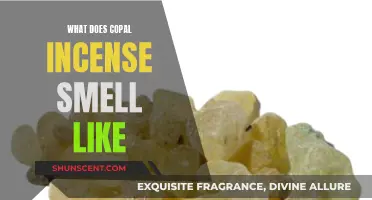 The Sweet, Woody, and Earthy Aroma of Copal Incense