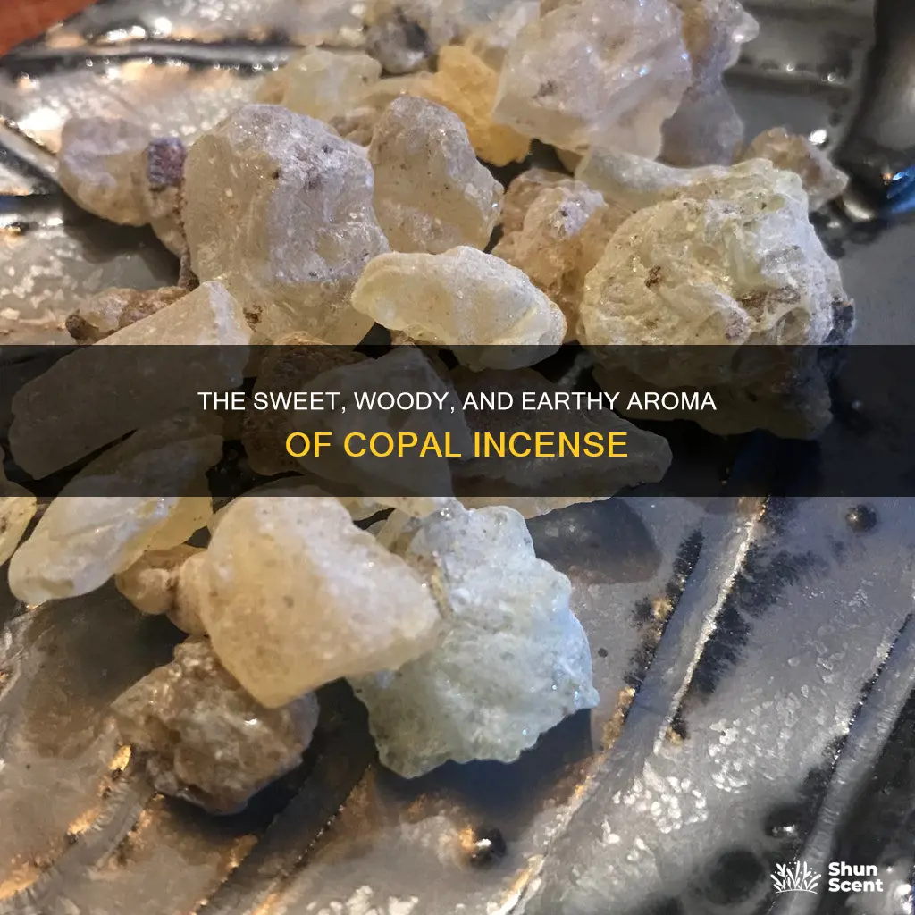 what does copal incense smell like