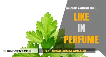 Coriander's Aromatic Allure in Perfumes