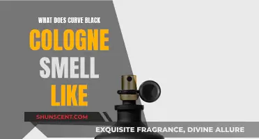 The Alluring Scent of Curve Black Cologne