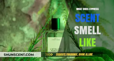 Unveiling the Fresh, Woody Essence: What Does Cypress Scent Smell Like?
