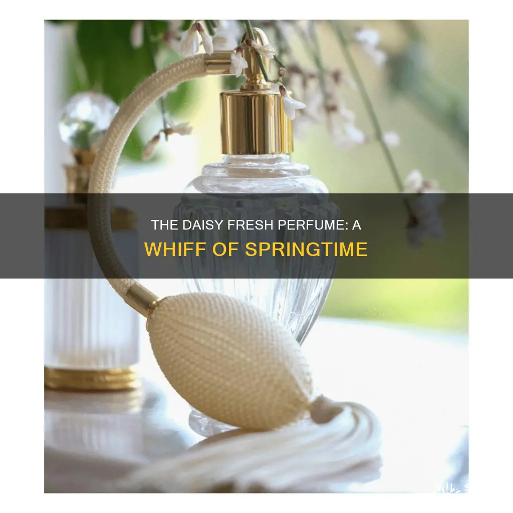 what does daisy fresh perfume smell like