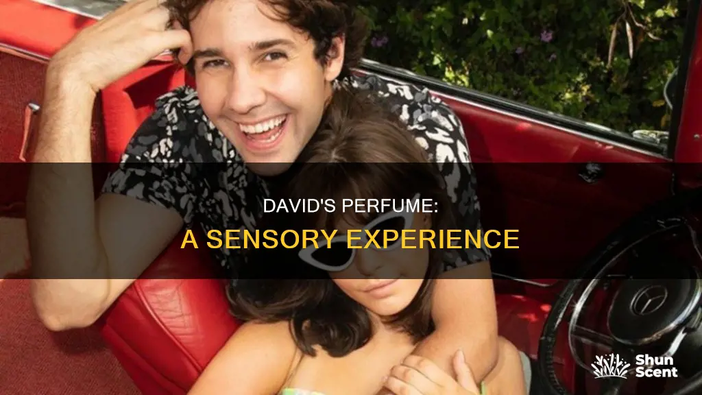 what does davids perfume smell like