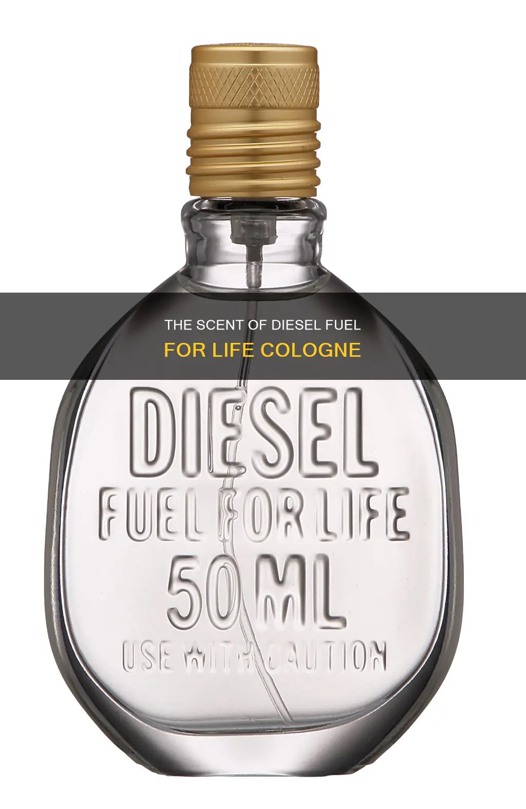 what does diesel fuel for life cologne smell like