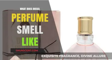 Explore the Unique Diesel Fragrance Universe