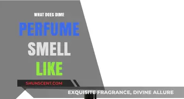 Dime's Perfume: A Fragrance Review