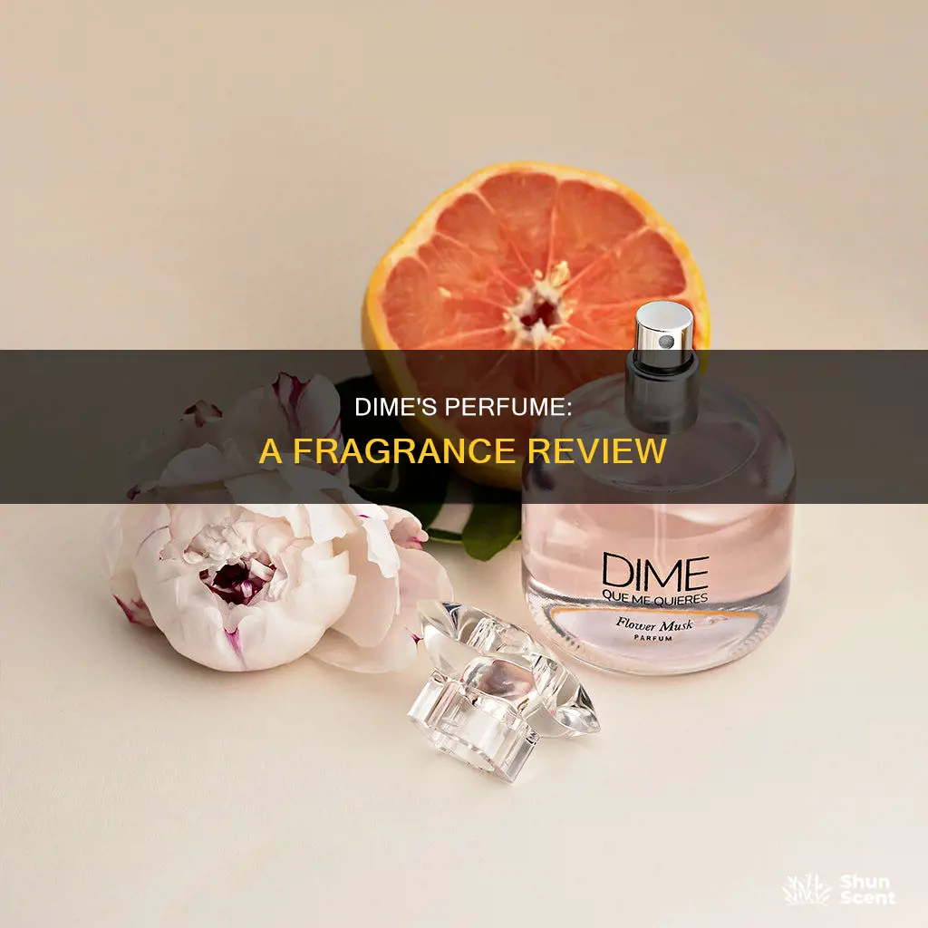 what does dime perfume smell like