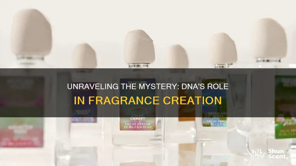 what does dna mean fragrance