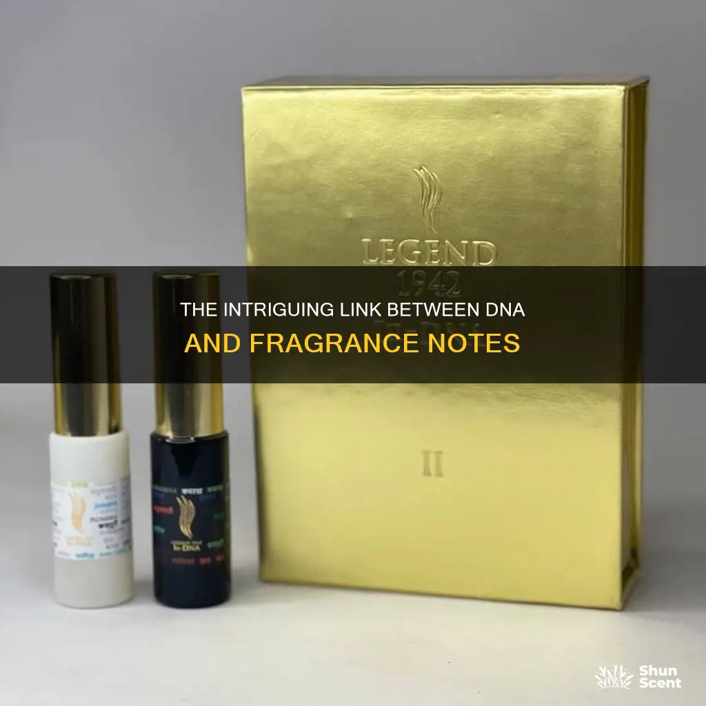 what does dna mean fragrance