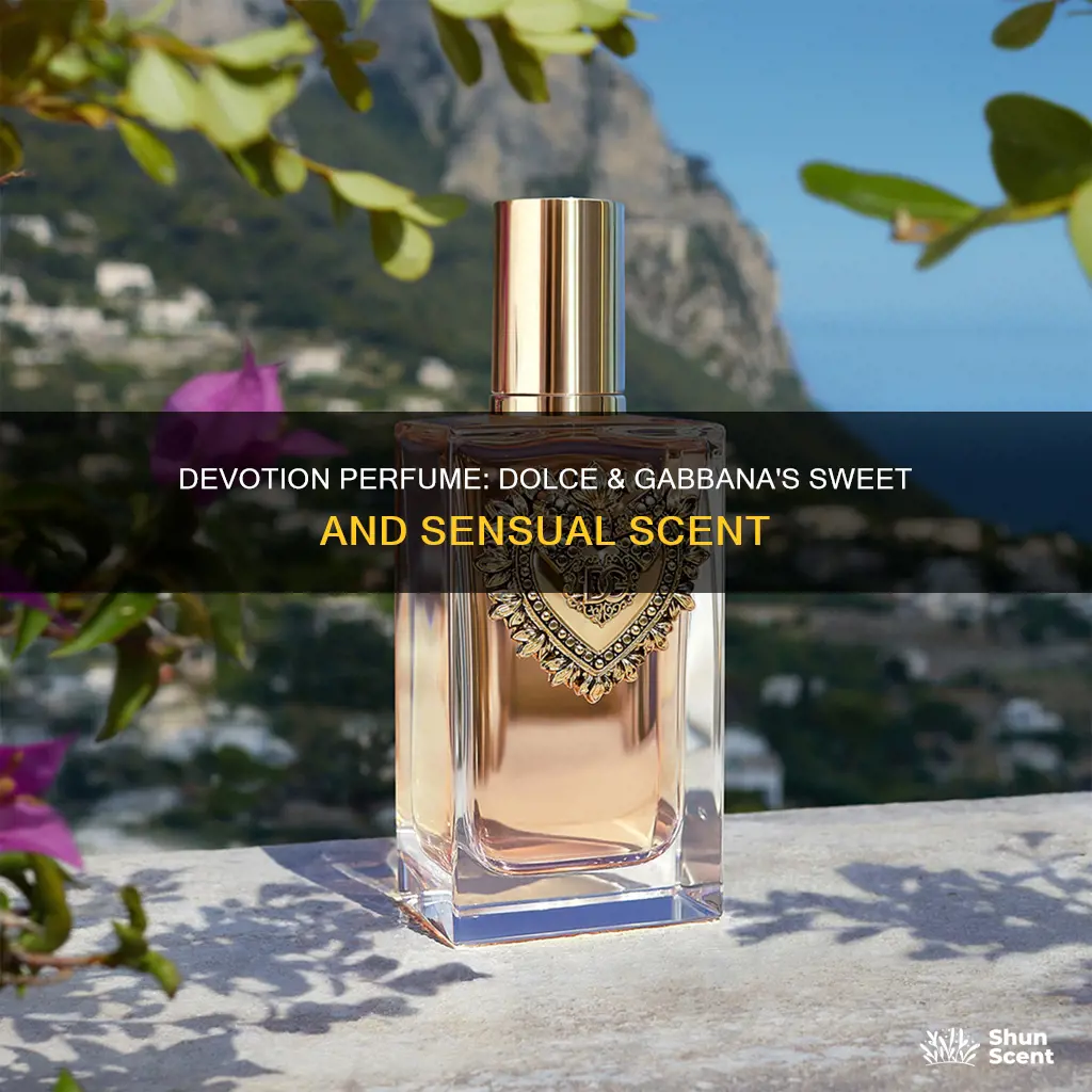 what does dolce and gabbana devotion perfume smell like