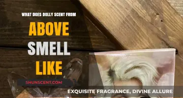 Exploring the Heavenly Aroma: What Does Dolly Scent from Above Smell Like?