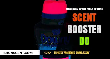 Unveiling the Power of Downy Fresh Protect Scent Booster