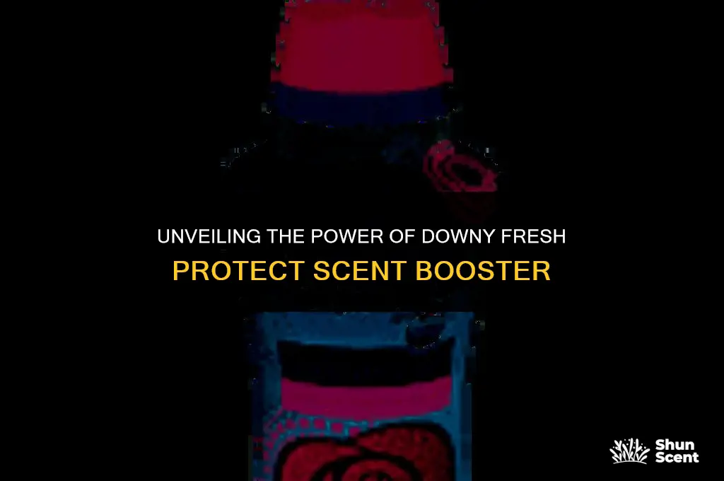 what does downy fresh protect scent booster do
