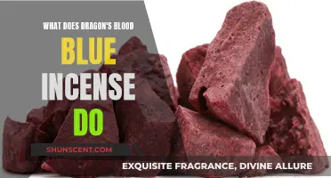 Exploring Dragon's Blood Blue Incense: Effects and Uses