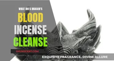 Dragon's Blood Incense: Purifying and Cleansing with Ancient Resin