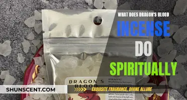 Dragon's Blood Incense: Spiritual Cleansing and Protection