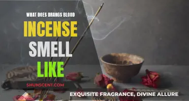 Drang's Blood Incense: A Fragrant, Mystical Experience