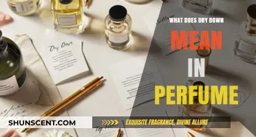 Understanding Dry Down: The Evolution of Scent in Perfumes Explained