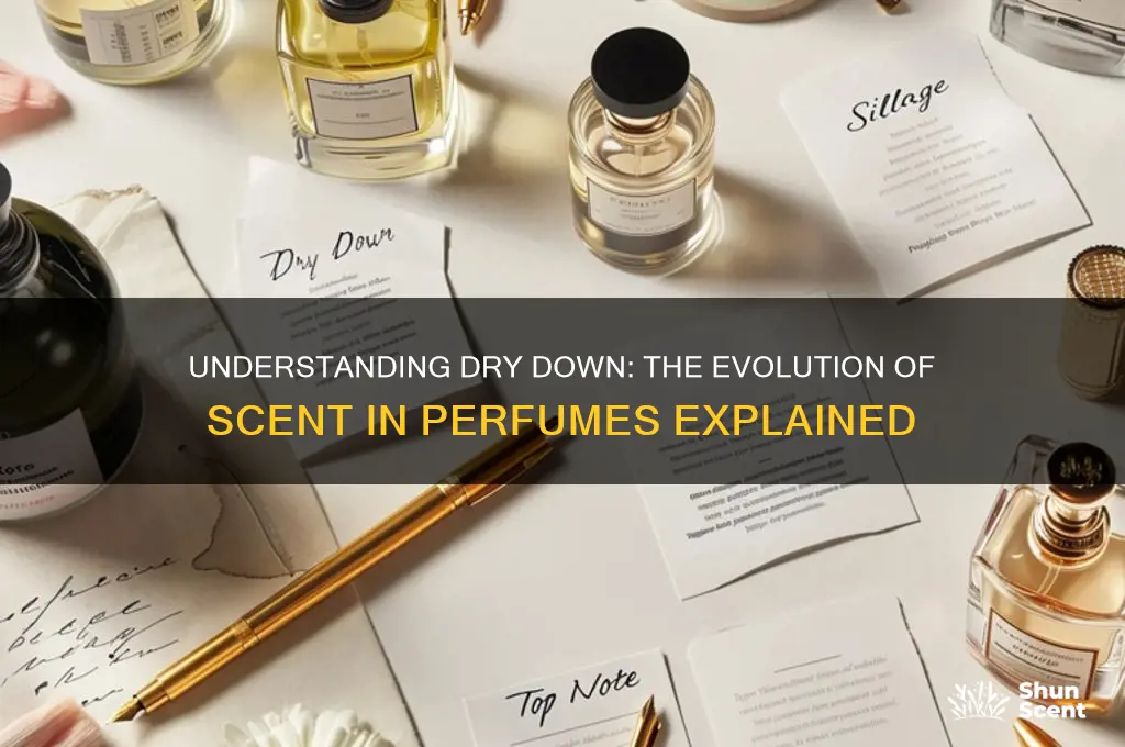 what does dry down mean in perfume