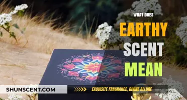 Unveiling the Essence of Earthy Scents: A Fragrant Journey