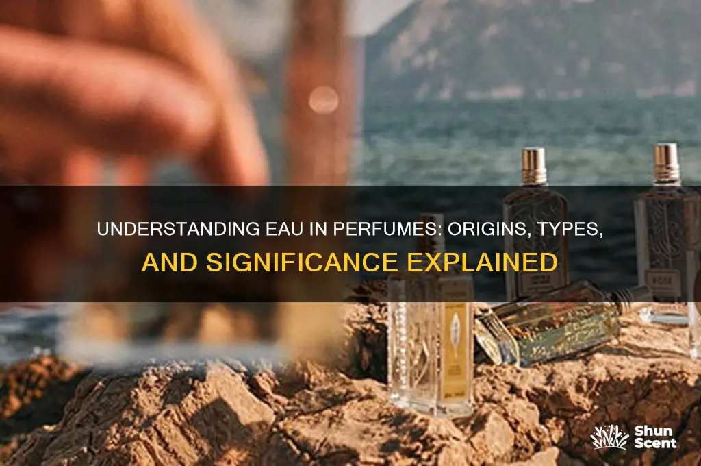 what does eau mean in perfume