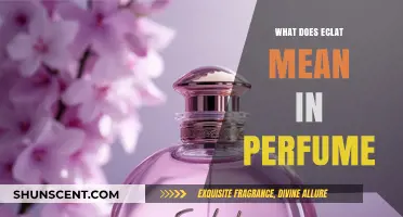 Understanding Éclat: The Meaning and Significance in Perfumery Explained