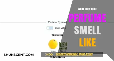 The Elige Perfume: An Aromatic Adventure
