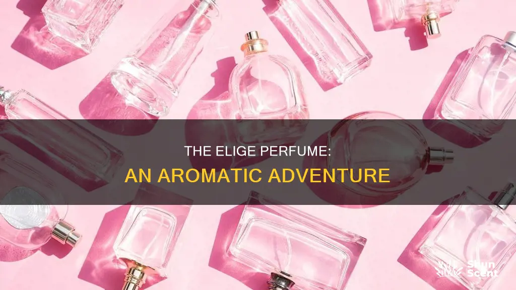 what does elige perfume smell like