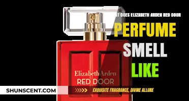 The Classic Scent of Elizabeth Arden's Red Door