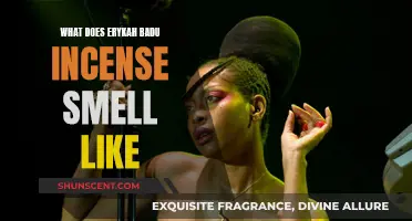 Erykah Badu's Incense: A Fragrant Journey