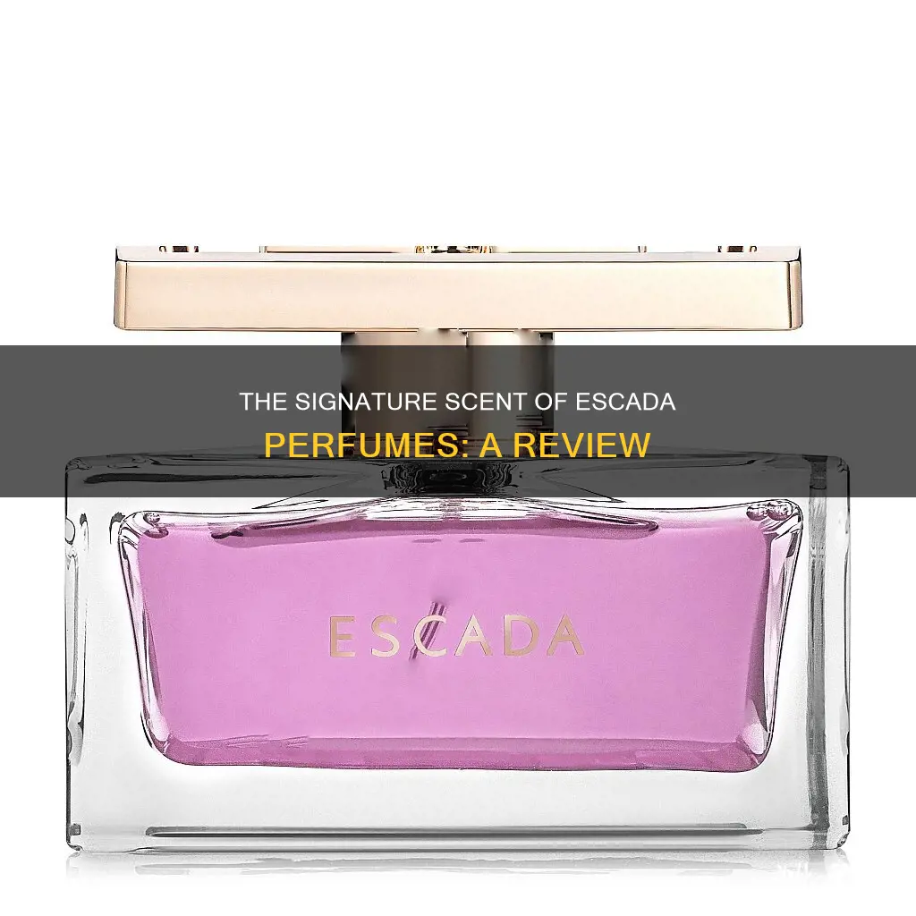 what does escada perfume smell like