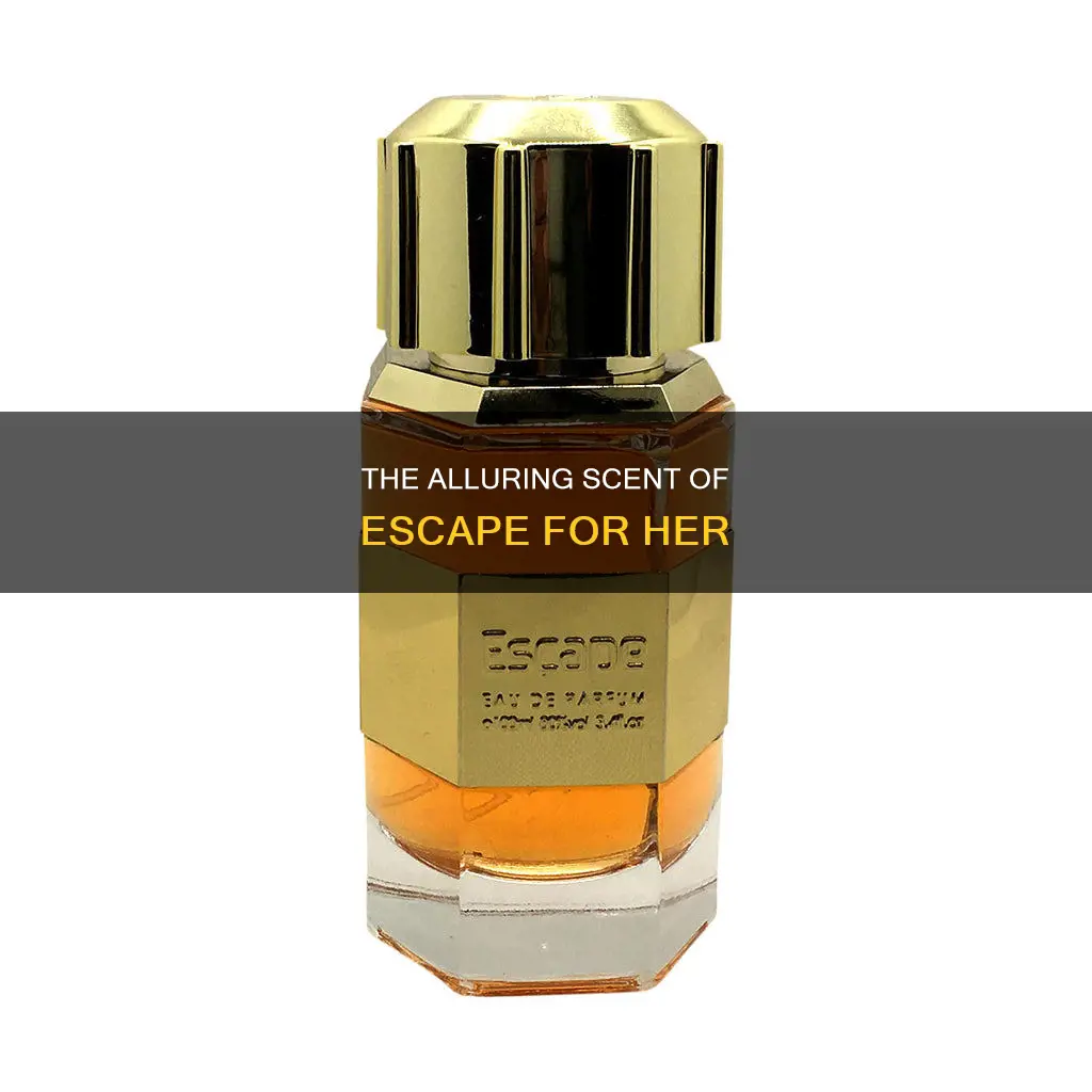 what does escape cologne for women smell like